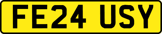 FE24USY