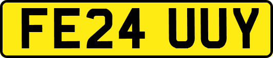 FE24UUY