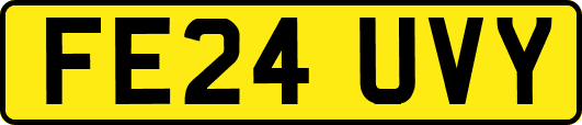 FE24UVY