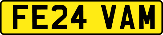 FE24VAM