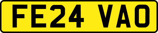 FE24VAO