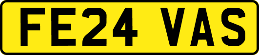 FE24VAS