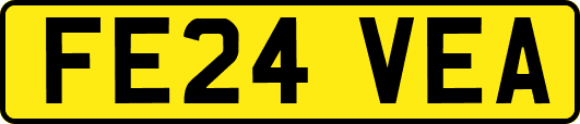 FE24VEA
