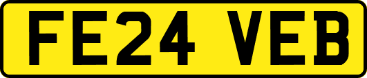 FE24VEB