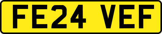 FE24VEF