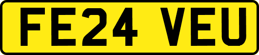 FE24VEU