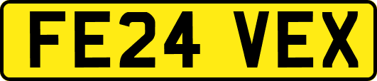 FE24VEX