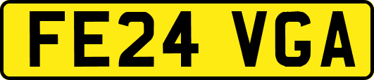 FE24VGA