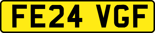 FE24VGF
