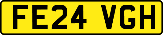 FE24VGH