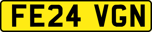 FE24VGN
