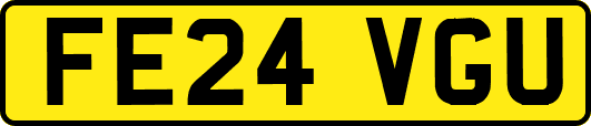 FE24VGU