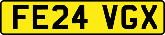 FE24VGX