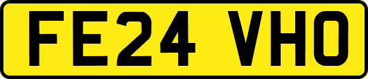 FE24VHO