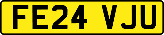 FE24VJU