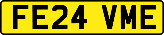 FE24VME