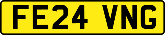 FE24VNG