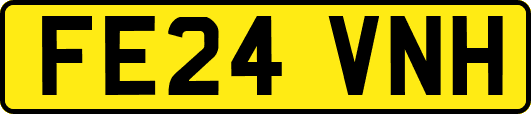 FE24VNH