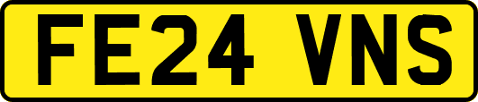 FE24VNS