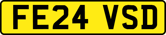 FE24VSD