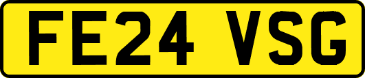 FE24VSG
