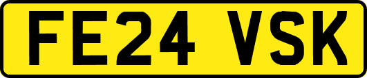 FE24VSK