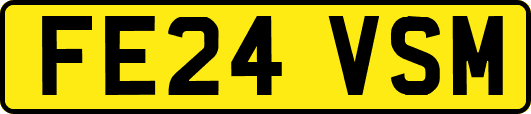 FE24VSM