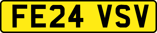 FE24VSV
