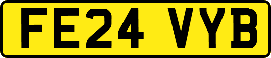 FE24VYB