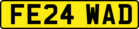 FE24WAD