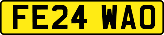 FE24WAO