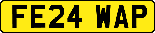 FE24WAP