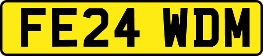 FE24WDM