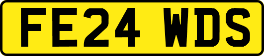 FE24WDS