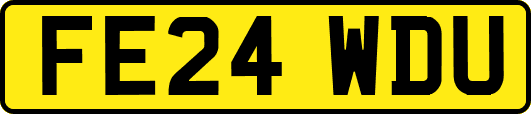 FE24WDU