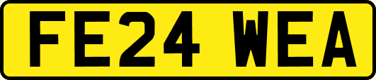 FE24WEA