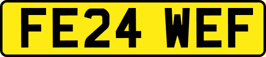 FE24WEF