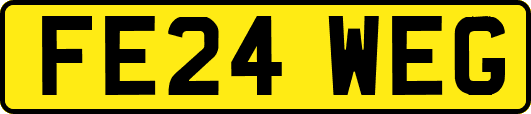 FE24WEG