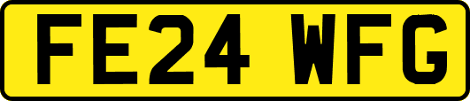 FE24WFG