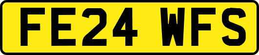 FE24WFS