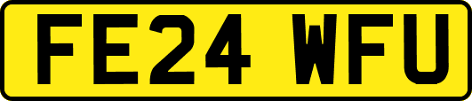 FE24WFU