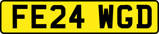 FE24WGD