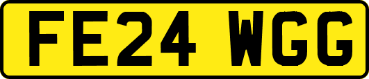 FE24WGG