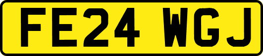 FE24WGJ