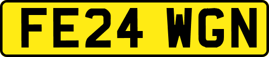 FE24WGN