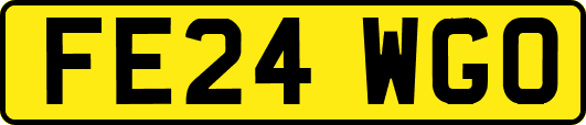 FE24WGO
