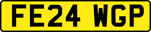 FE24WGP