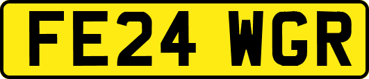FE24WGR