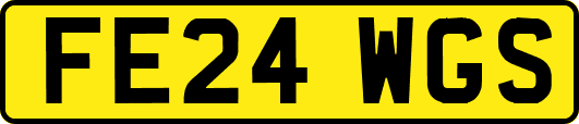 FE24WGS