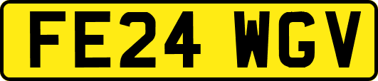 FE24WGV